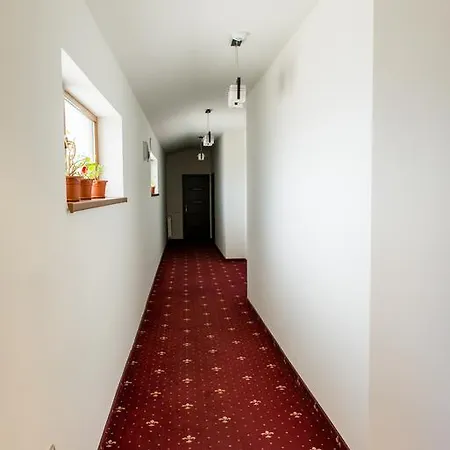 Guest house Pensiunea Schwartz Cluj-Napoca