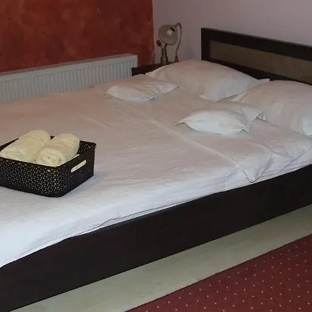 Guest house Pensiunea Schwartz 3*