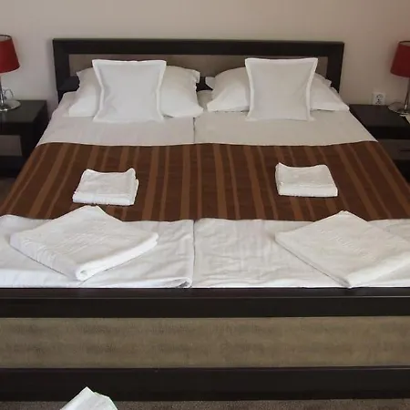 Guest house Pensiunea Schwartz 3*