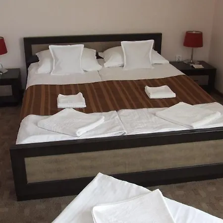 Guest house Pensiunea Schwartz 3*