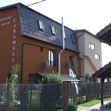Guest house Pensiunea Schwartz 3*